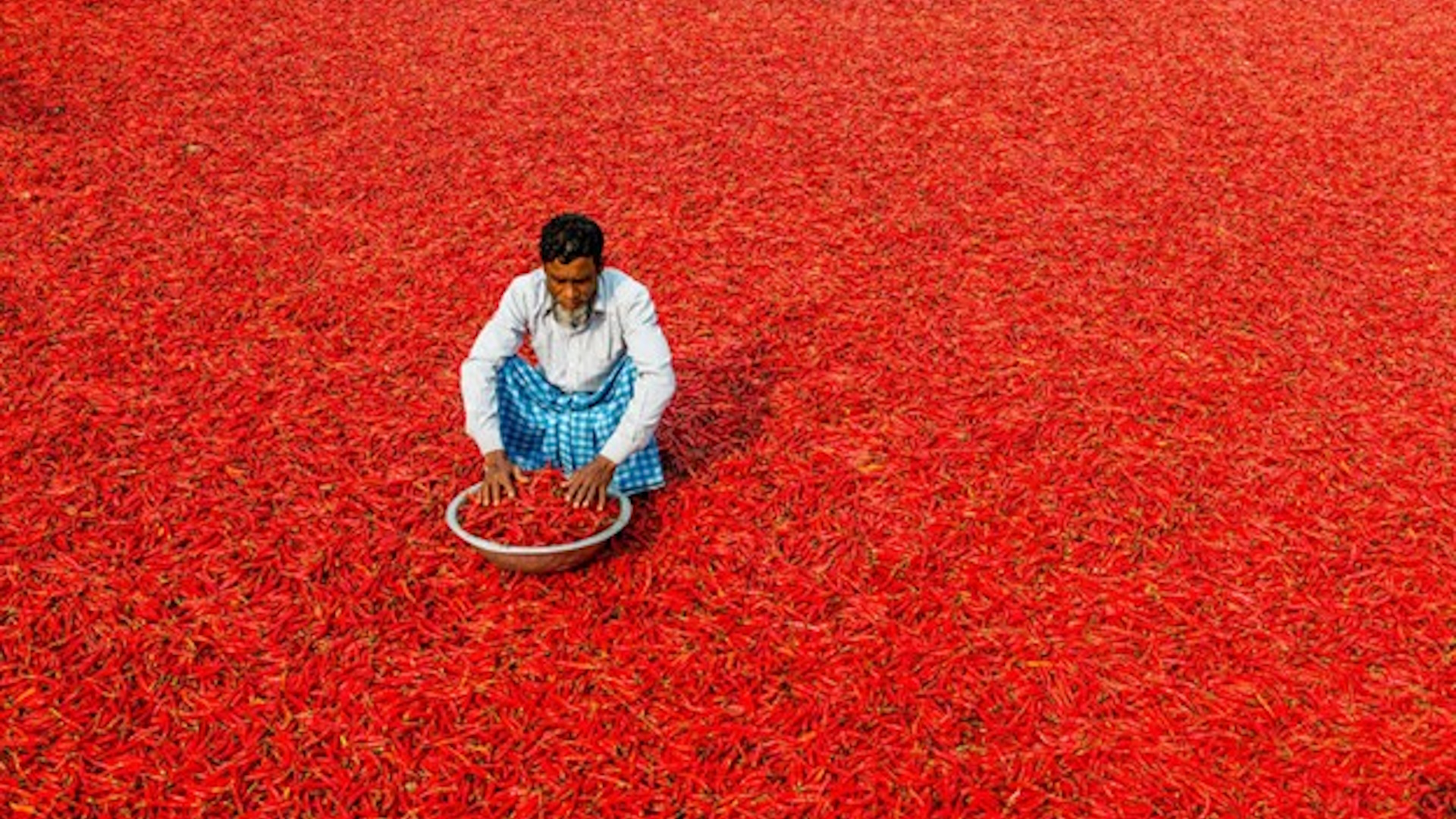 How to Become a Travel Photographer in 10 Simple Steps - Man in Red Field