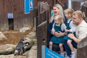 Families Enjoying the Penguins at SEA LIFE